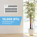 10,000 BTU 115V High-Efficiency Through-the-Wall Air Conditioner with Remote Control
