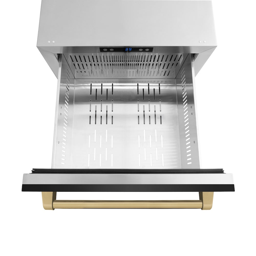 ZLINE Autograph Edition Touchstone 24-inch refrigerator in black stainless steel and champagne bronze accents RDSOZ-BS-24-CB, detail