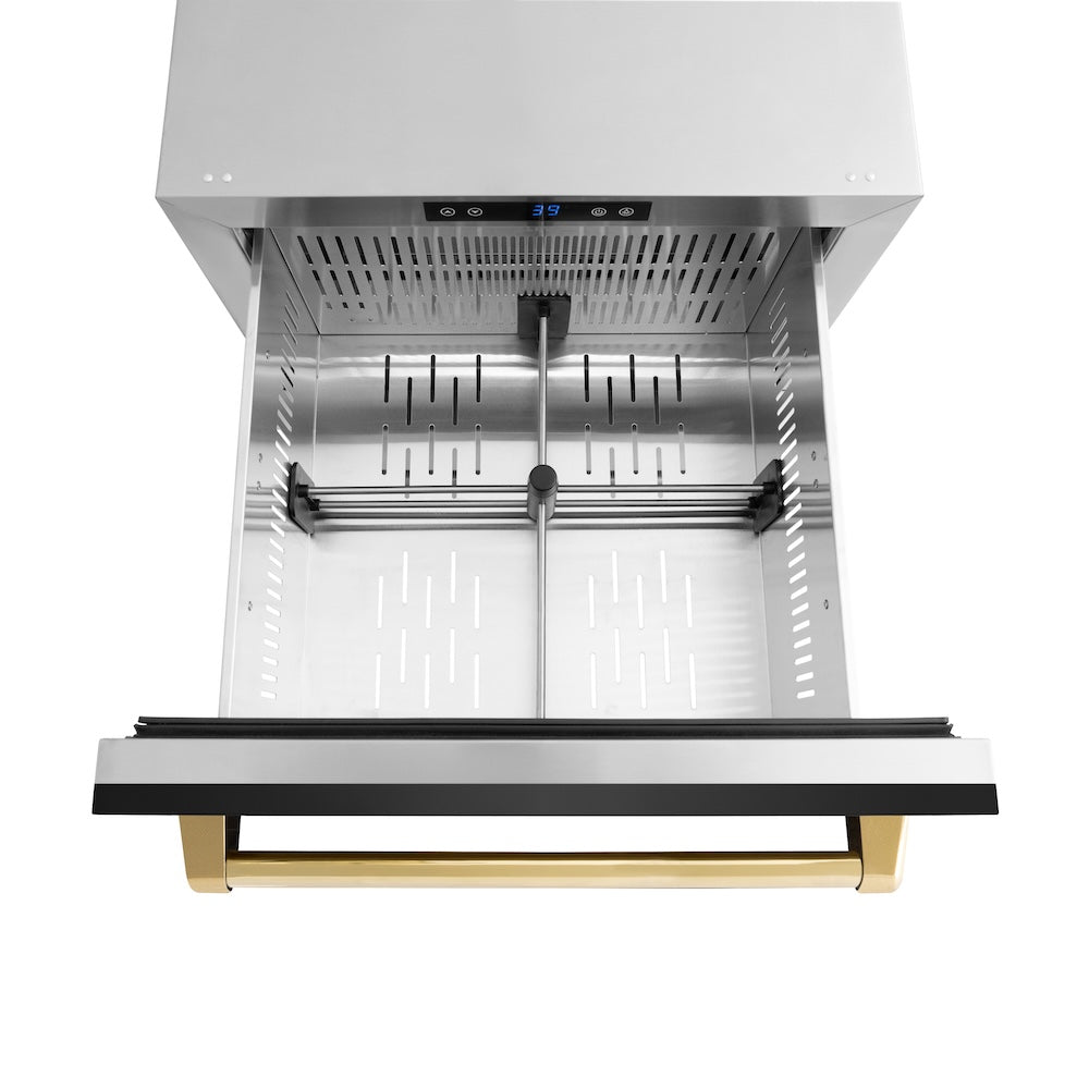 ZLINE Autograph Edition Touchstone 24-inch refrigerator in black stainless steel and polished gold accents RDSOZ-BS-24-G, detail