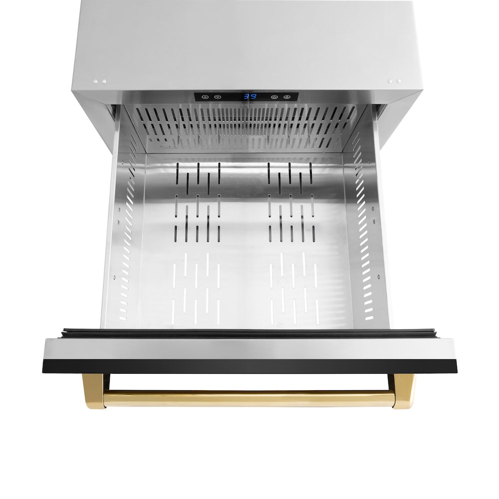 ZLINE Autograph Edition Touchstone 24-inch refrigerator in black stainless steel and polished gold accents RDSOZ-BS-24-G, detail