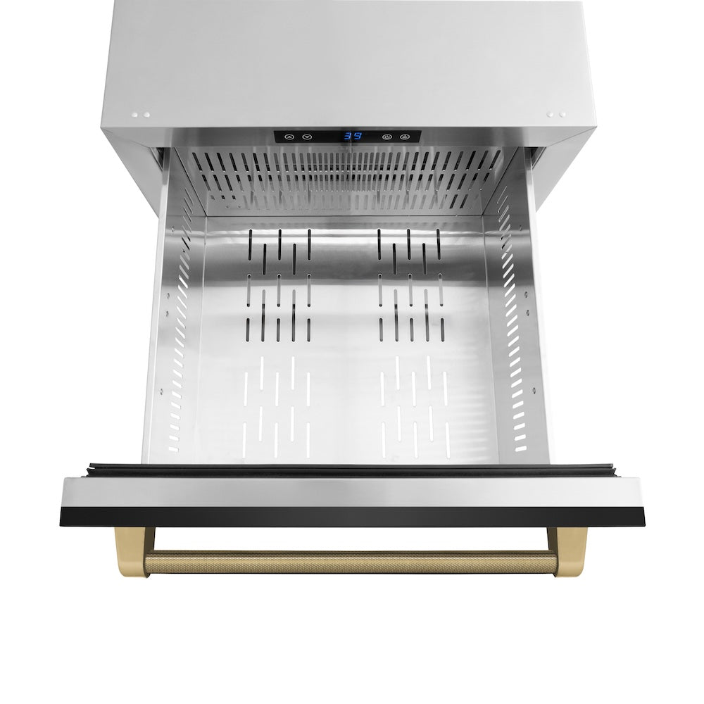 ZLINE Autograph Edition Touchstone 24-inch refrigerator in black stainless steel and champagne bronze accents RDSOZ-BS-24-KCB, detail