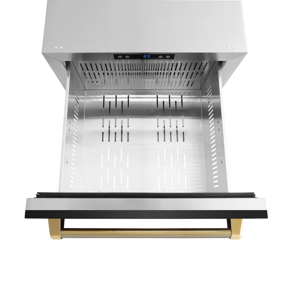 ZLINE Autograph Edition Touchstone 24-inch refrigerator in black stainless steel and polished gold accents RDSOZ-BS-24-KG, detail