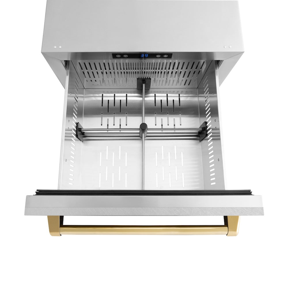 ZLINE Autograph Edition Touchstone 24-inch refrigerator in satin stainless steel and polished gold accents RDSOZ-SN-24-G, detail