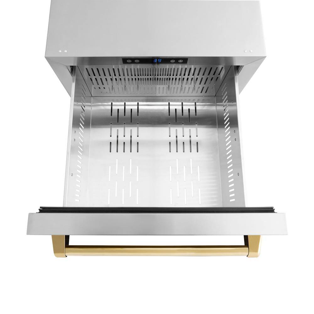 ZLINE Autograph Edition Touchstone 24-inch refrigerator in stainless steel and polished gold accents RDSOZ-ST-24-G, detail
