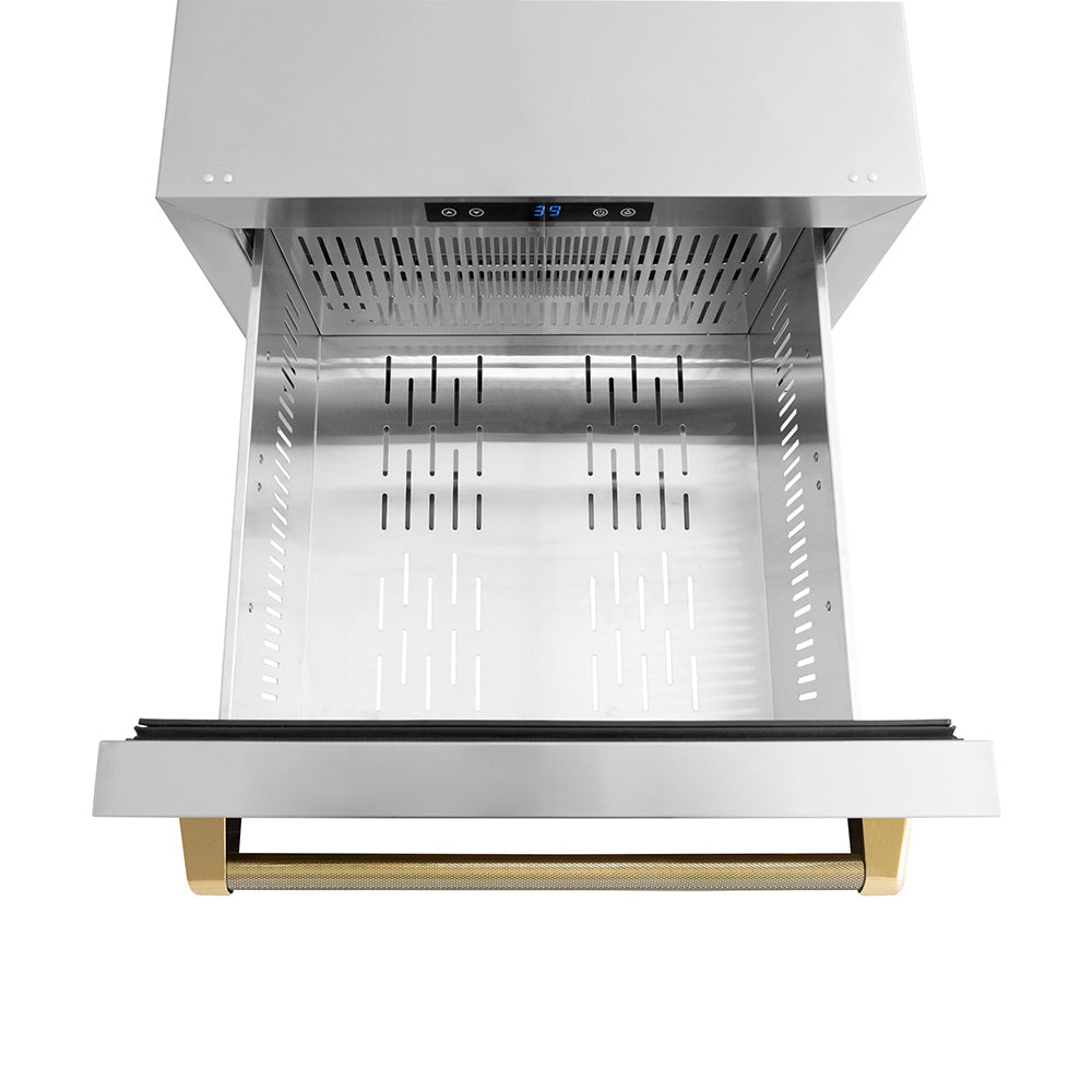 ZLINE Autograph Edition Touchstone 24-inch refrigerator in stainless steel and polished gold accents RDSOZ-ST-24-KG, detail