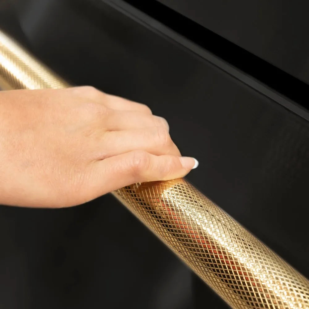 ZLINE Autograph Edition Touchstone 24-inch refrigerator in black stainless steel and polished gold accents RDSOZ-BS-24-KG, detail