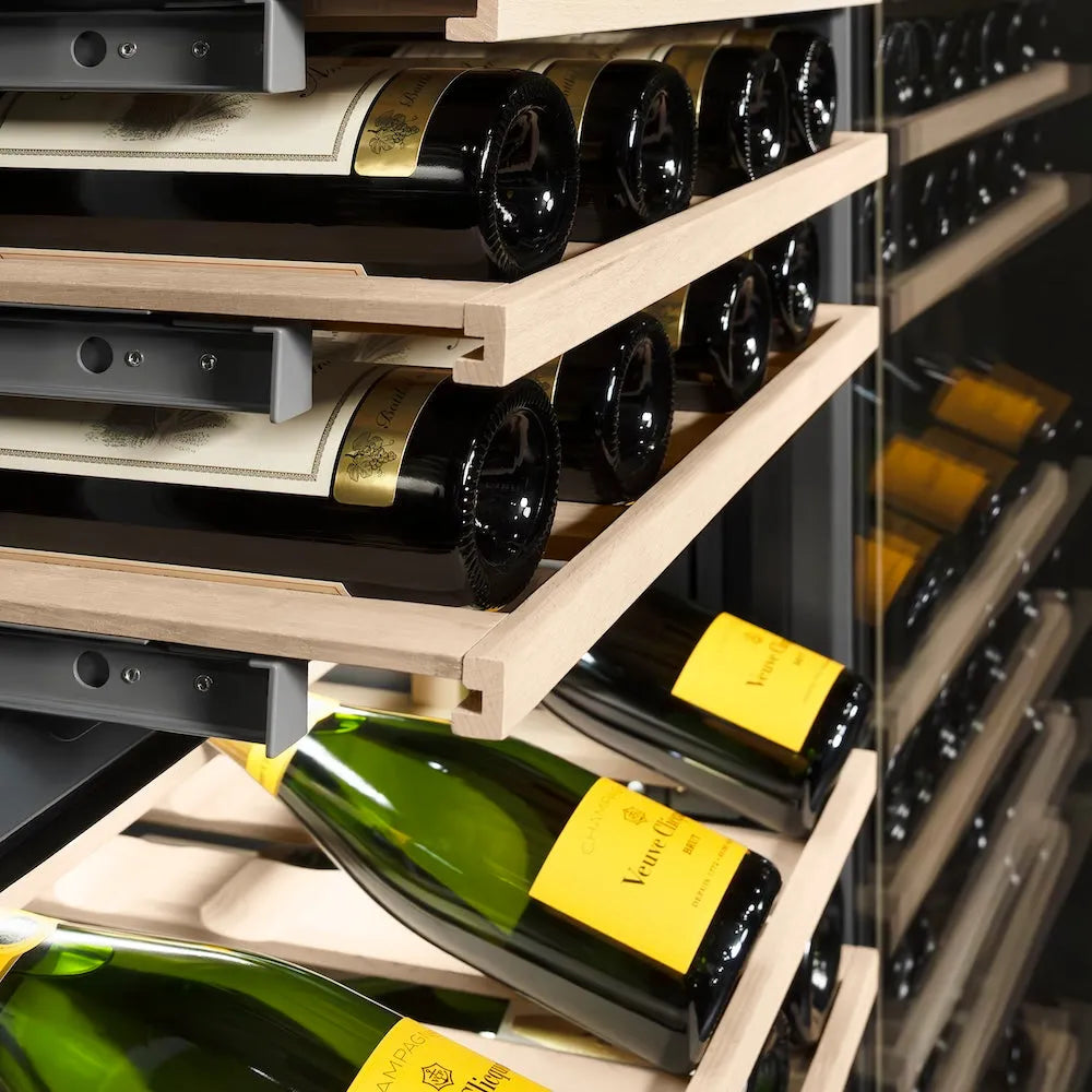 ZLINE 24-inch wine cooler in black stainless steel with graphite gray interior RCWV-BS-24, detail