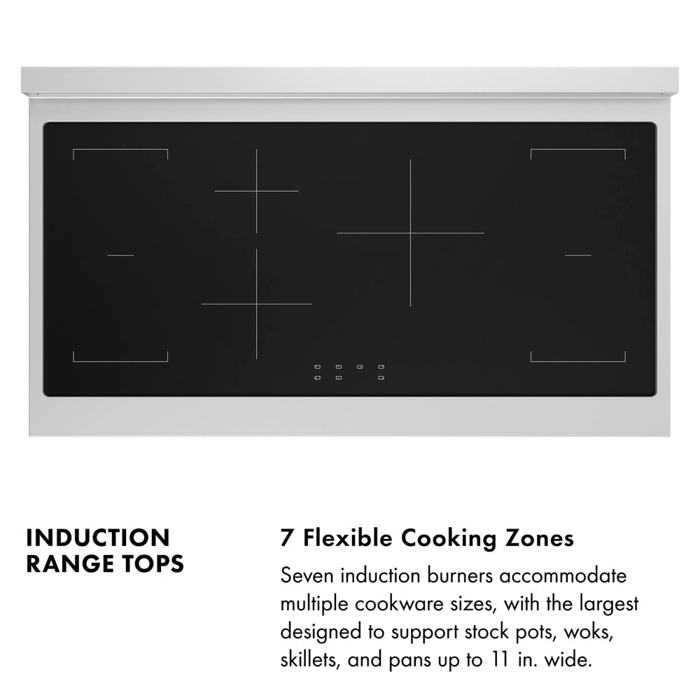 ZLINE Paramount 48-inch rangetop in stainless steel SINRT48, view 4
