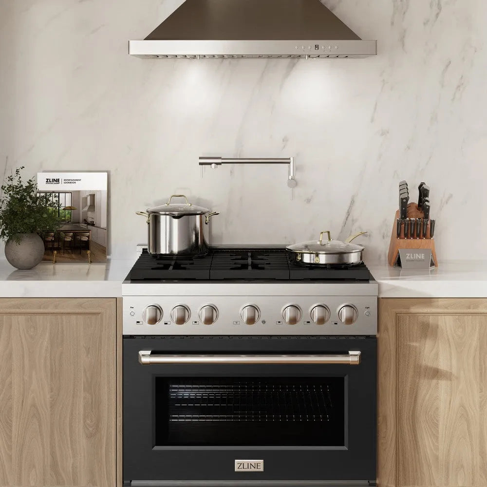 ZLINE Paramount 36-inch range in stainless steel with black matte door SDR-BLM-36, view 3