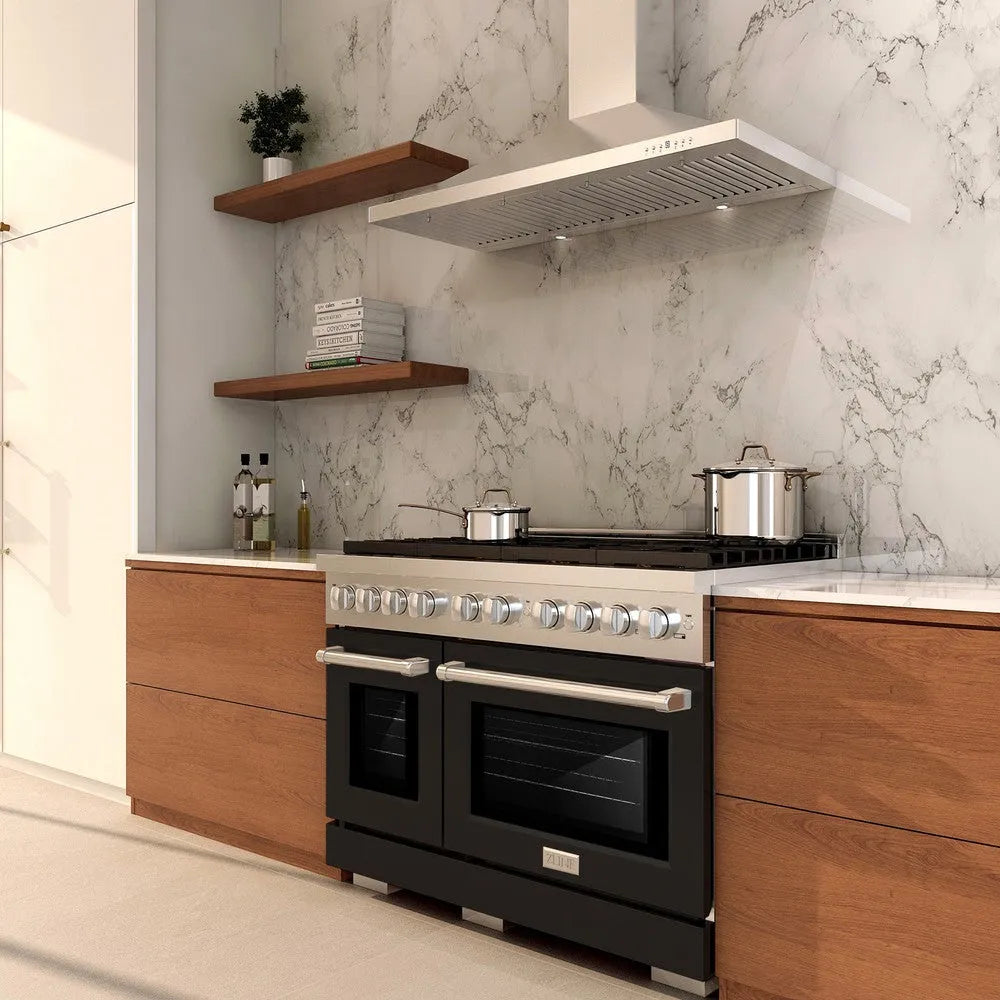 ZLINE Paramount 48-inch range in stainless steel with black matte door SDR-BLM-48, view 2