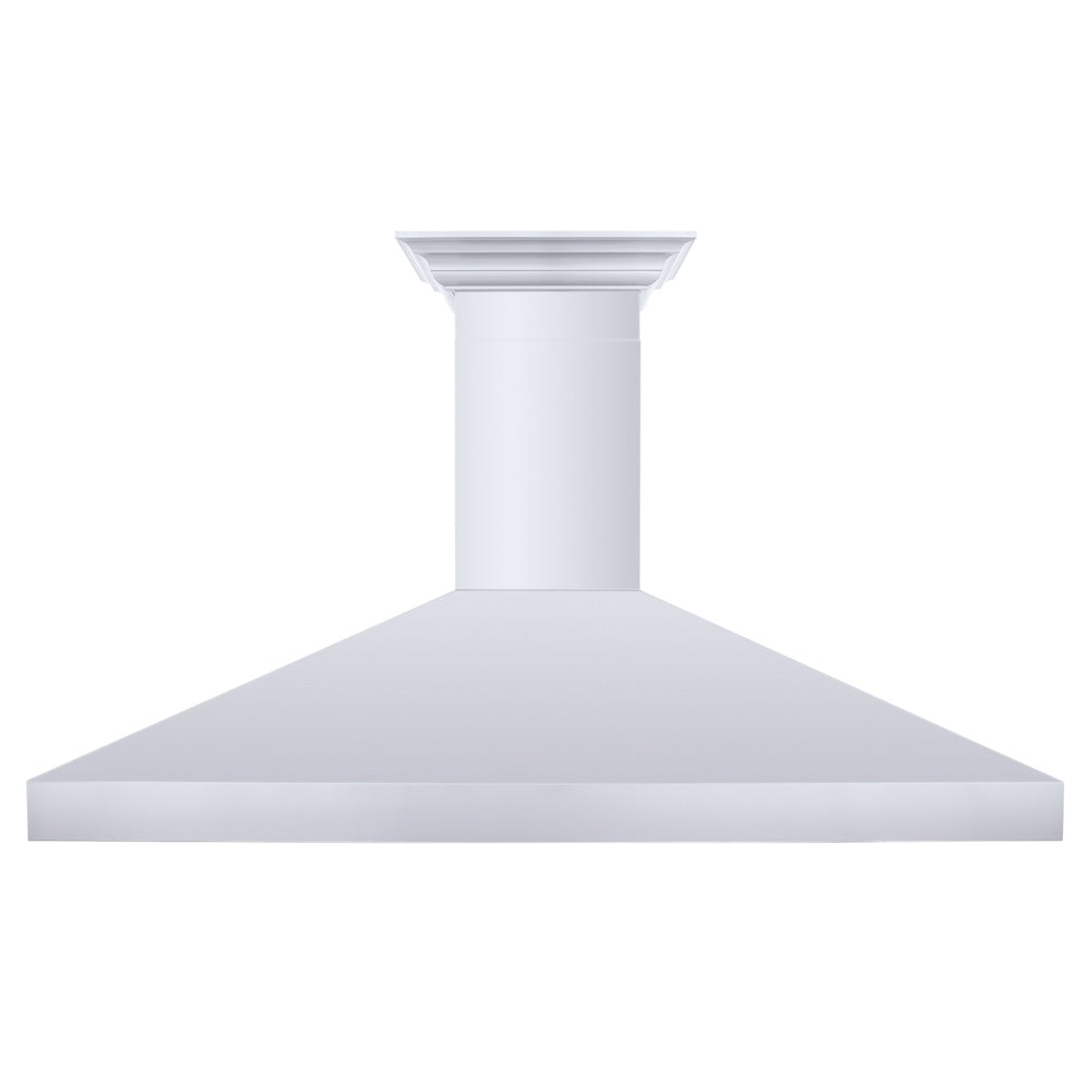 ZLINE Professional 60-inch range hood in stainless steel 597CRN-60, front view